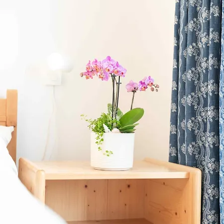 Apartmán Chesa Michel Bever